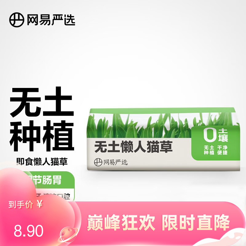 网易严选 无土懒人猫草 25g