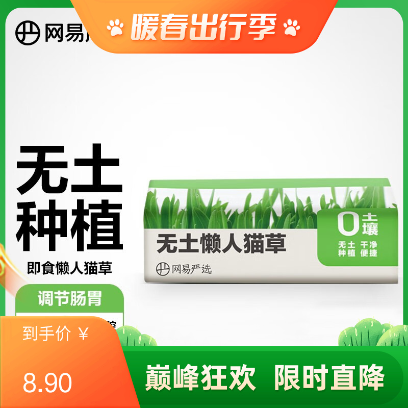 网易严选 无土懒人猫草 25g