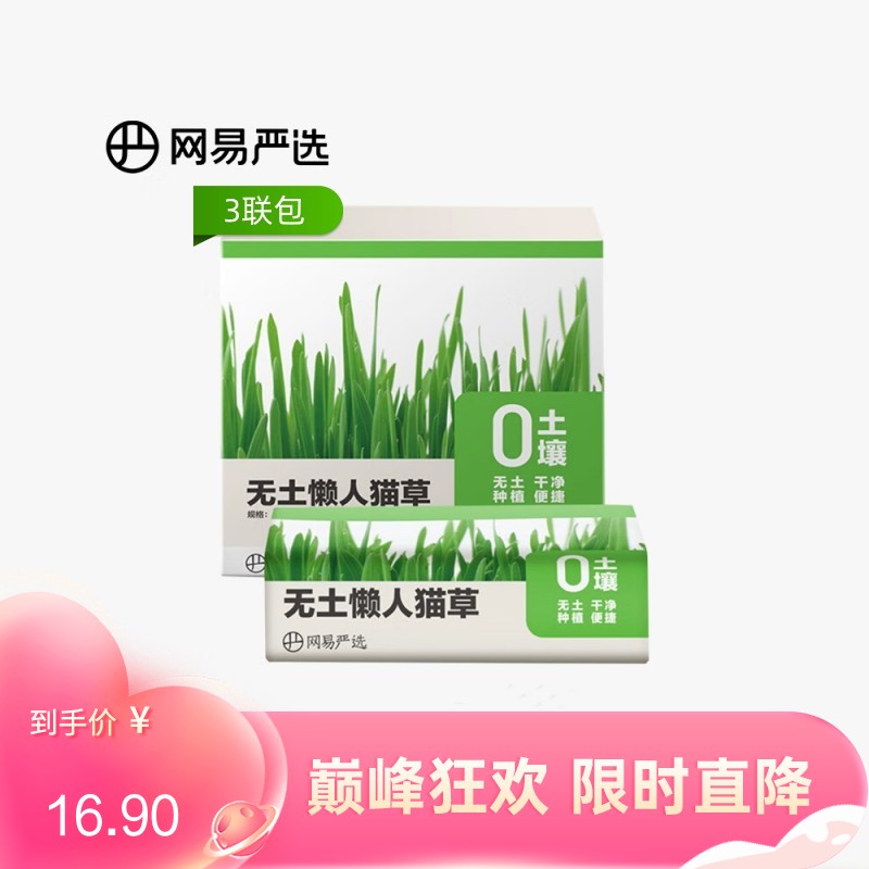 【3包】网易严选懒人猫草 25g/包