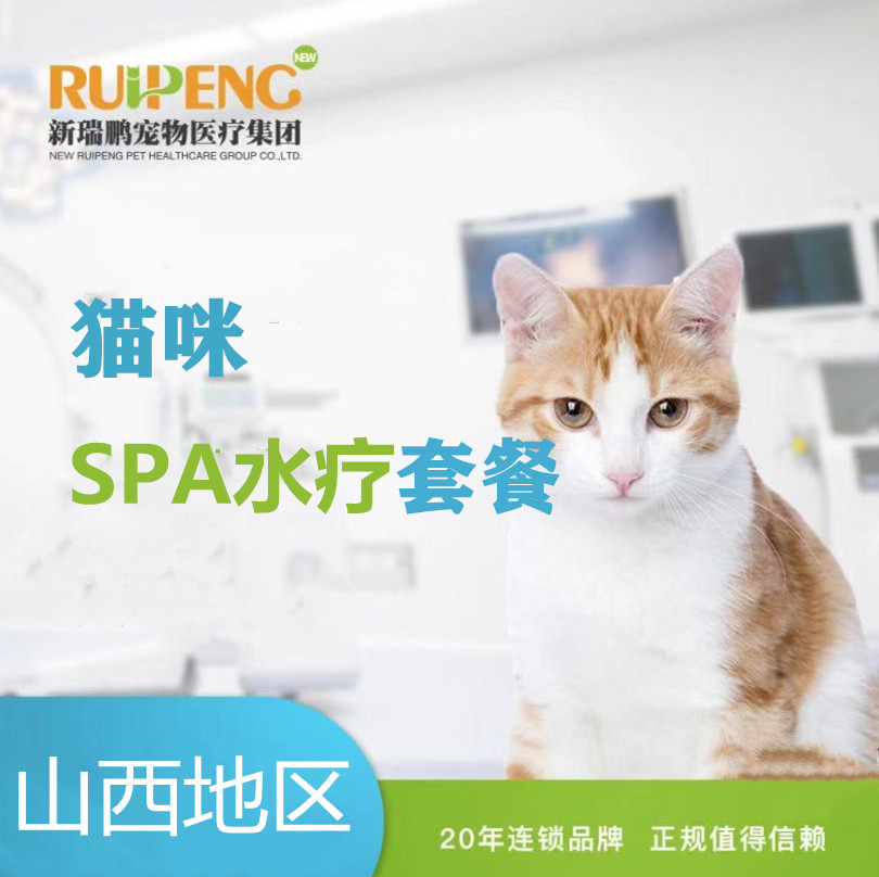 山西丨猫SPA水疗10赠12次卡 1800 猫（短毛）
