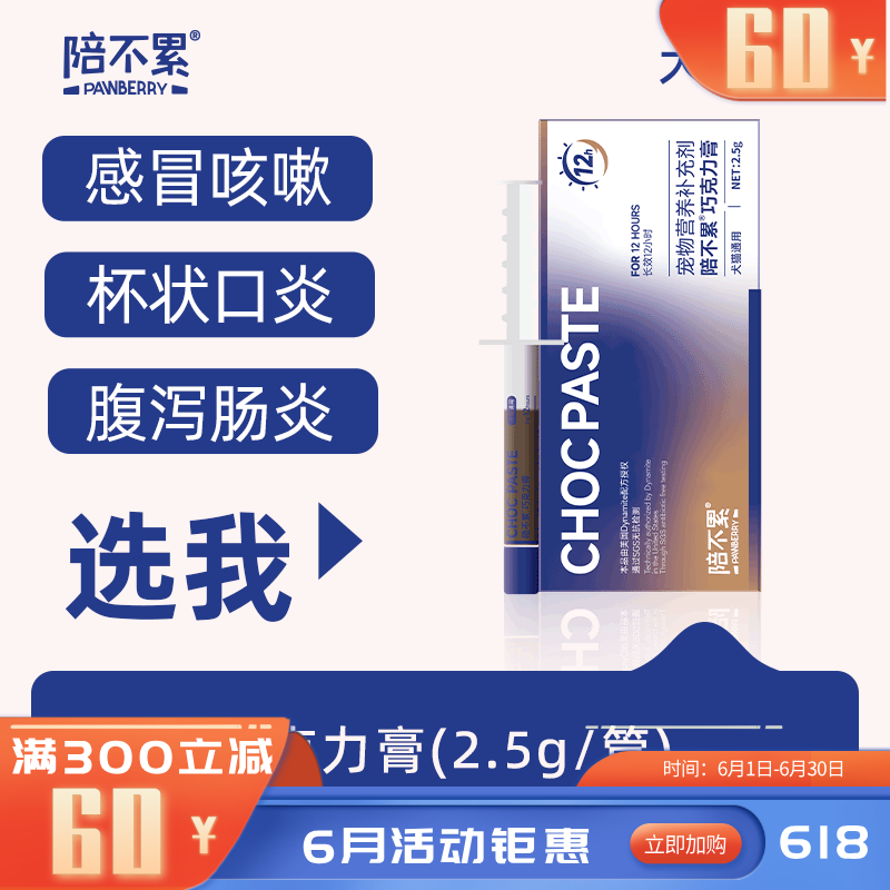 陪不累宠物用巧克力膏 2.5g