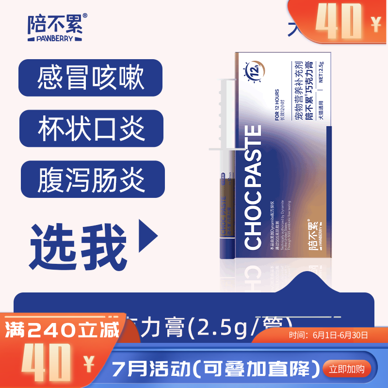 陪不累宠物用巧克力膏 2.5g