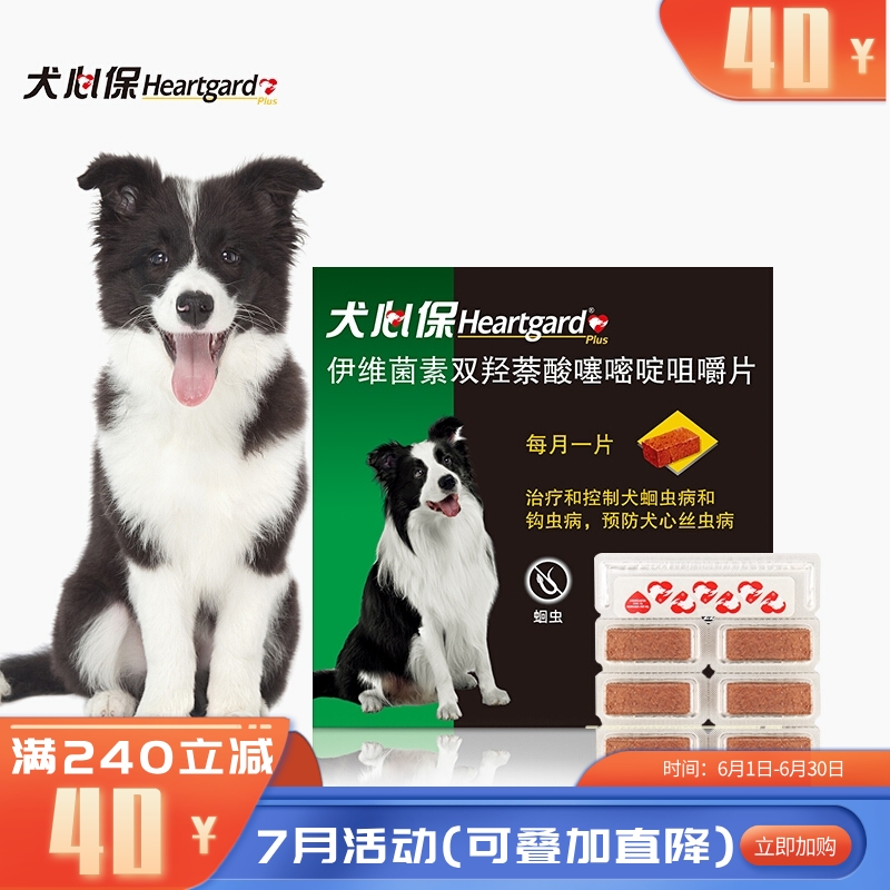 犬心保 12-22kg中型犬 体内驱虫咀嚼片 6粒装（有效期至2026/6/3）